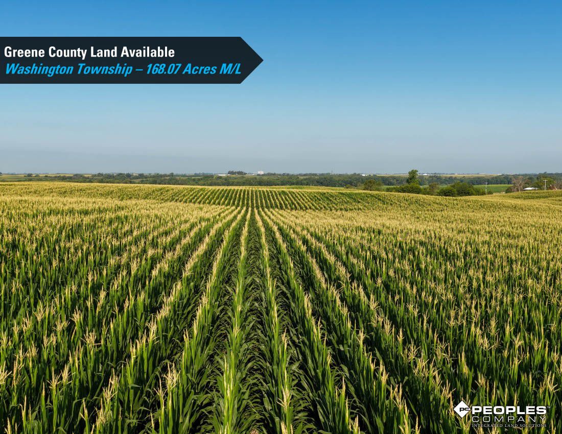 Listing Photo: Greene-County-Land-Available-168-Acres-19616 (17)